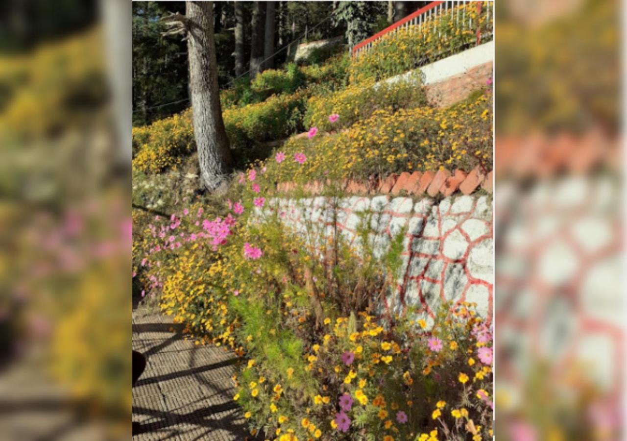 Hotel Country Resort Khajjiar Bagian luar foto